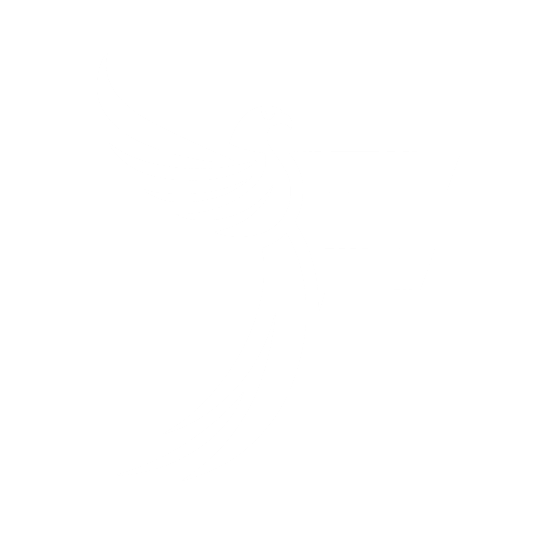 Logo Fenix